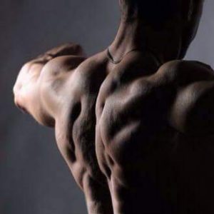 Lukas Wolf | Wolfs Gym | Lyss