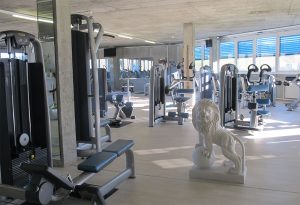 Gerätepark Wolfs Gym