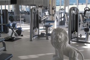 Wolfs Gym Aarberg Gerätepark